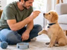 como-treinar-cachorro-filhote-capa